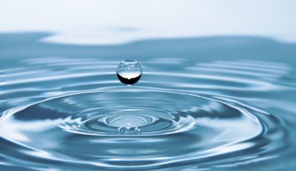 Вода живая и мёртвая